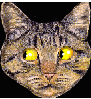 CAT_EYES.GIF