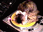 EMBOT.GIF